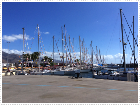 Barbados50 dressed yachts in Tenerife Barbados50 dressed yachts in Tenerife